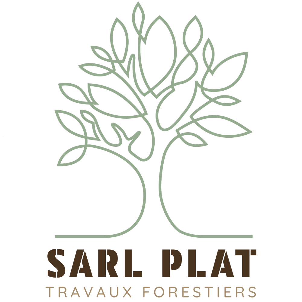 logo SARL PLAT (2)