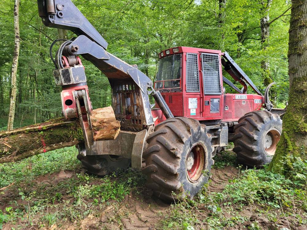 travaux forestiers à Lalheue