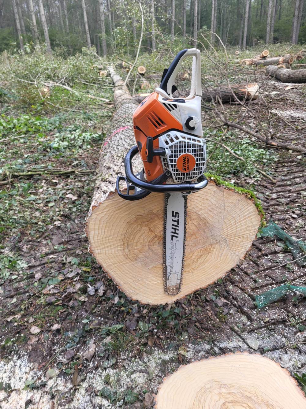 tronçonneuse sur tronc d'arbre