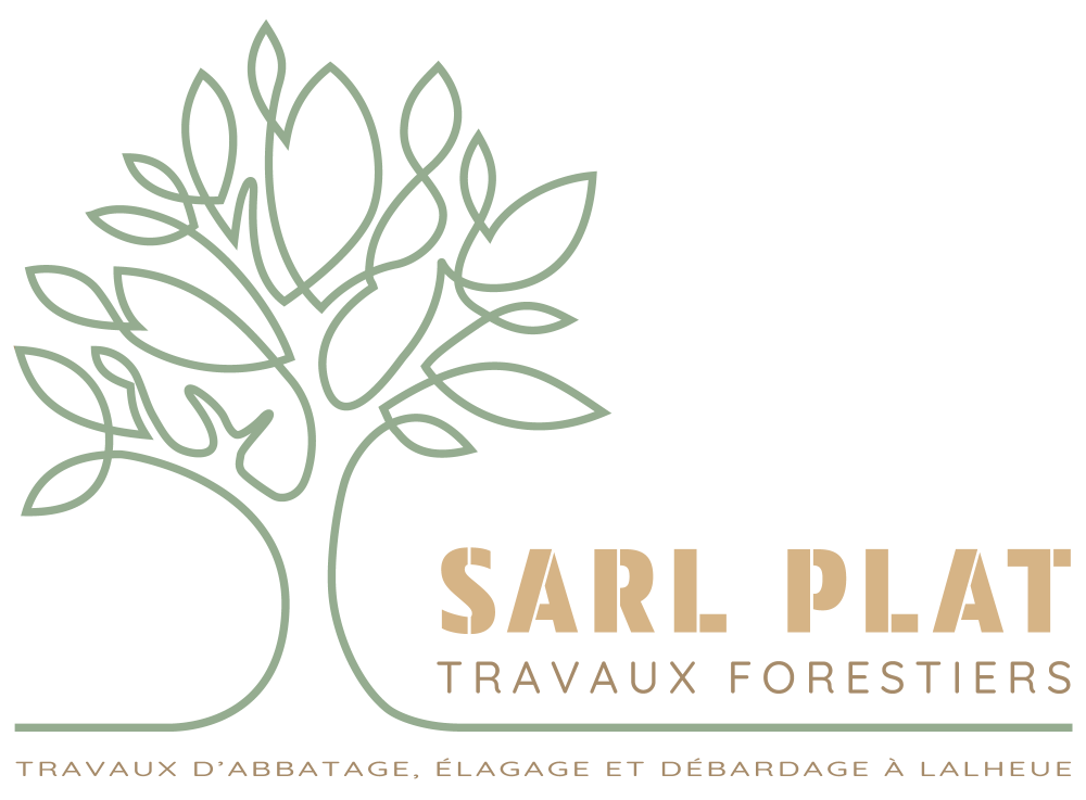 logo SARL PLAT (4)